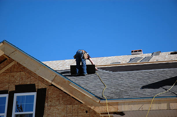 Best Chimney Flashing Repair  in Garden City, MI