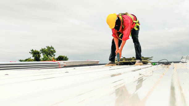 Roof Insulation Installation in Garden City, MI